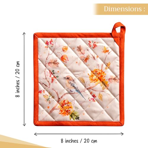 Pot Holders 100% Cotton Potholders (062 - Kelim - Prairie / 8" x 8" (Pot Holder Pack of 1))