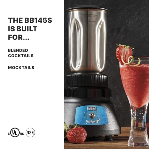 BevBasix Bar Blender with 32 oz Stainless Steel Jar (Stainless Steel Model)