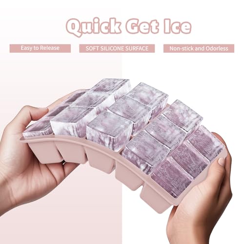 Silicone Ice Cube Tray 2 Pack (Pink / Ice Cube Tray 2 Pack)