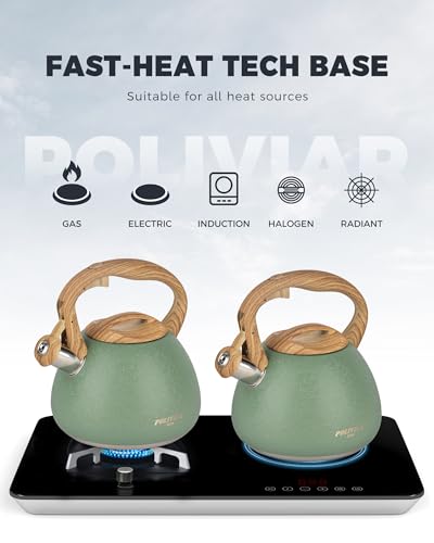 POLIVIAR Tea Kettle (2.7 Quarts / Crackle-Green)