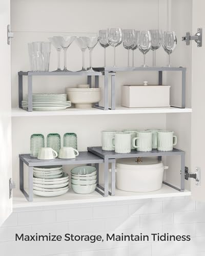 Set of 4 Metal Spice Racks (Silver / 4 Tiers (9"D x 12.6"W))