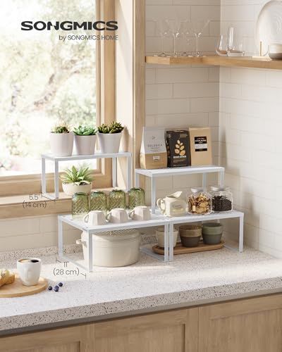 Set of 2 Metal Spice Racks (White / 2 Tiers (11"D x 12.6"W))