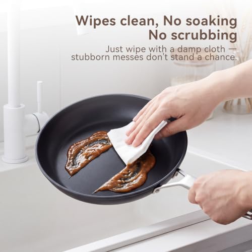 10 Inch Nonstick Frying pan (10-inch no lid)