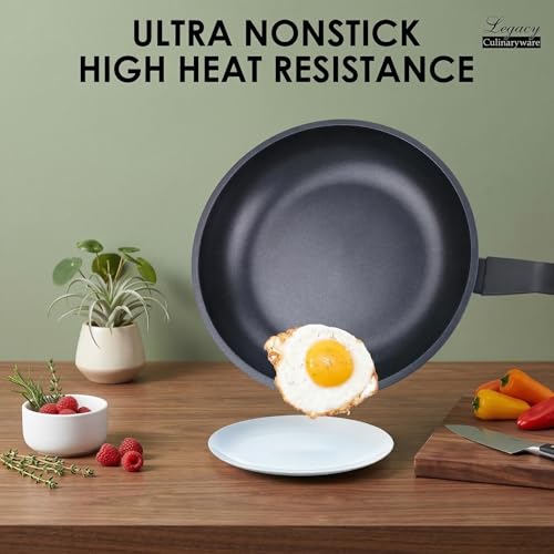 Nonstick Frying Pan Skillet (Black / 8 Inch)