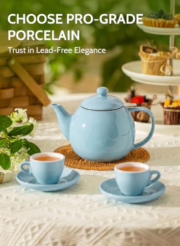 Porcelain Teapot 27 oz with Infuser for Loose Leaf Tea (Bluish Grey / 27oz (with infuser))