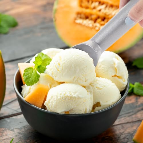 12 Pcs Ice Cream Scoop Set (Silver)
