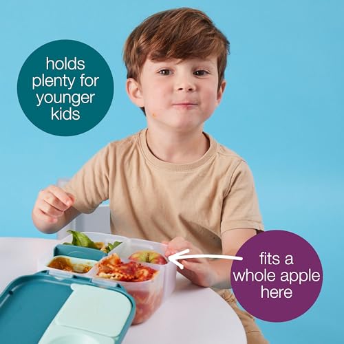 Mini Lunch Box