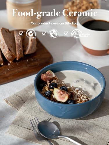 22 OZ Ceramic Soup Bowls & Cereal Bowls (22 OZ / Airy Blue)