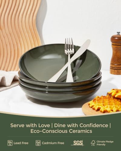Stoneware Dinnerware Sets for 4 (Blackish Green / Set (16pcs))