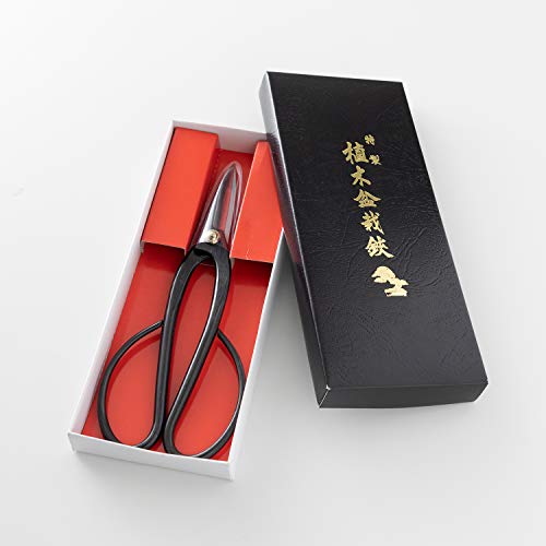 Ashinaga Bonsai Pruning Scissors 8inch (Ashinaga 8")