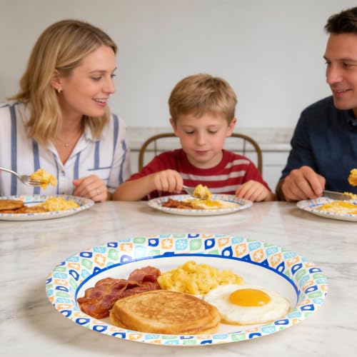 8.375 Inch Paper Plates (288 Count (Pack of 1))