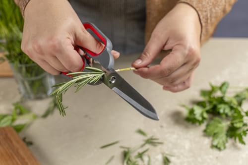 Kitchen Shears Universal (Universal Kitchen Shears)