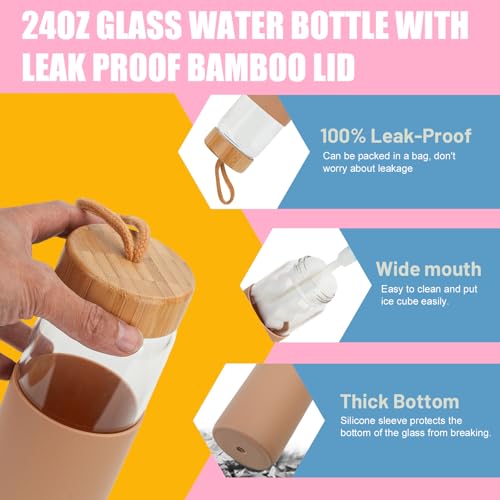 24 oz Glass Water Bottles with Lids (chartreuse / 24 Ounces)