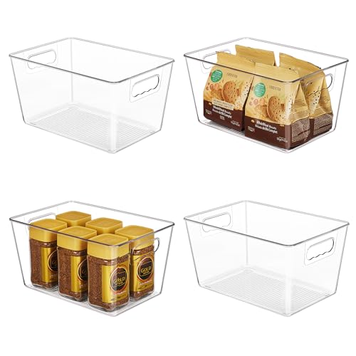 Clear Plastic Storage Organizer Bins (4 Count)