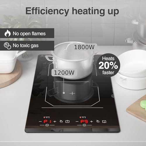 2 Burner Induction Cooktop