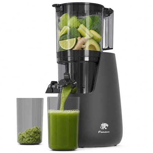 Cold Press Juicer (Grey)
