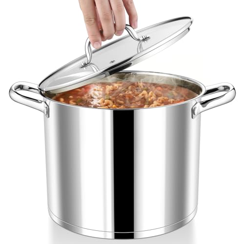 12 QT Stainless Steel Stock Pot with Lid (12 Quarts)