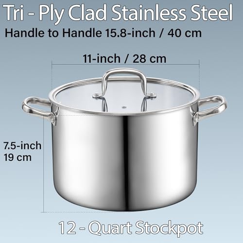 12 Quart Tri Ply Clad Stainless Steel Stockpot with Lid (12 Quarts / Silver)