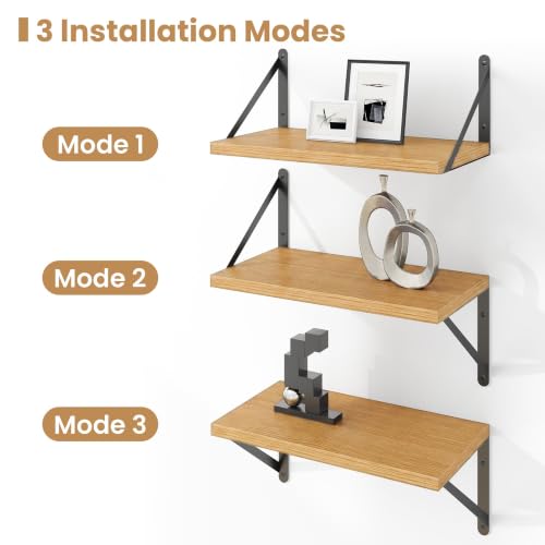 Floating Book Shelves for Wall