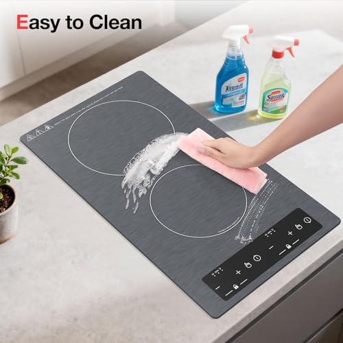 Double Induction Cooktop 110v (Gray 2 Burner)