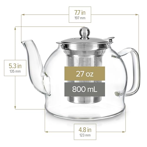 Dublin Glass Teapot (27 oz (2-3 cups))