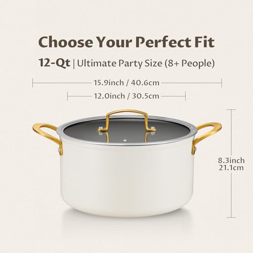 12QT Large Ceramic Nonstick Stock Pot with Lid