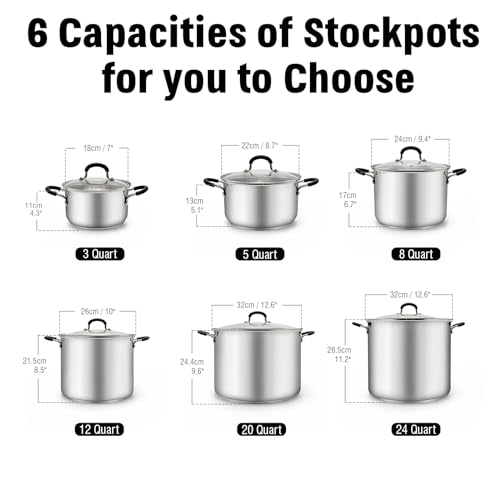Professional 12 Quart Stainless Steel Stock Pot with Lid