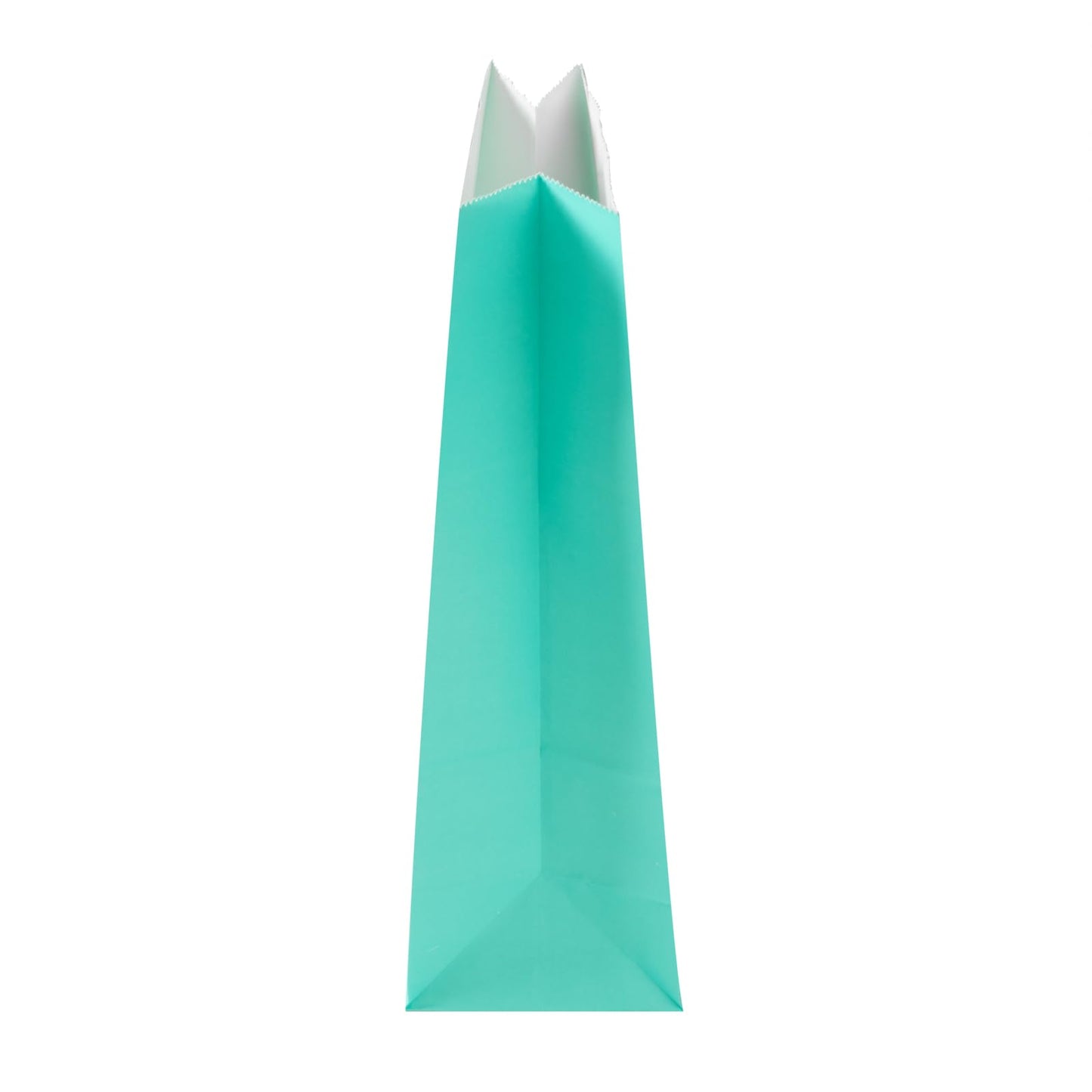 Turquoise Paper Bag (4 lb / Turquoise)