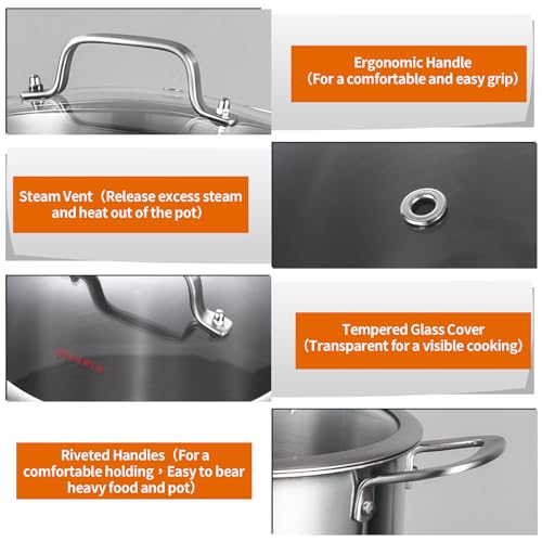 Tri ply Stainless Steel 8 Quart Heavy Duty Induction Stock Pot (Silver / 8QT Stockpot)