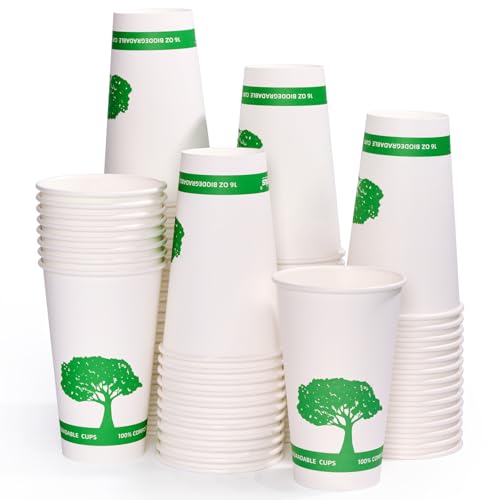 240 Pack Compostable Paper Cups (Green)