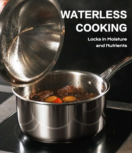 3 Quart Stainless Steel Saucepan with Lid (3 Quart)