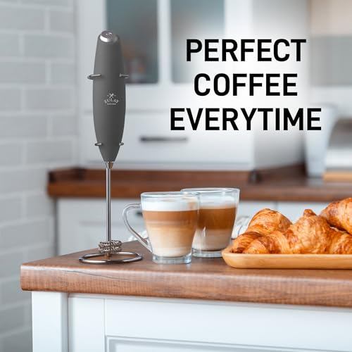 Powerful Milk Frother Wand With Duracell Batteries (Smoke Charcoal / Double Whisk + Batteries)