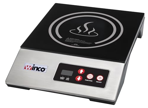 1800W Black Silver Portable Induction Cooktop Burner (1800 W (120V, NEMA 1-15P Plug) / Countertop / Silver/Black)