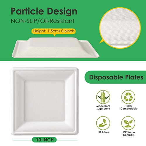 Compostable Square Paper Plates 10 Inch 100 Pack Disposable Plates (White / 10-inch 100 pack)