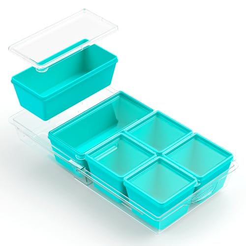Silicone Freezer Molds with Lids (Blue / 4x 1-Cup & 2x 2-Cup)