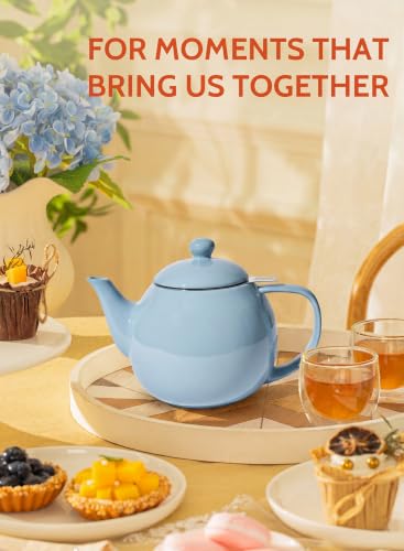 Porcelain Teapot 27 oz with Infuser for Loose Leaf Tea (Bluish Grey / 27oz (with infuser))