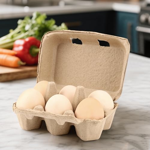 50 Pack Empty Egg Cartons Bulk