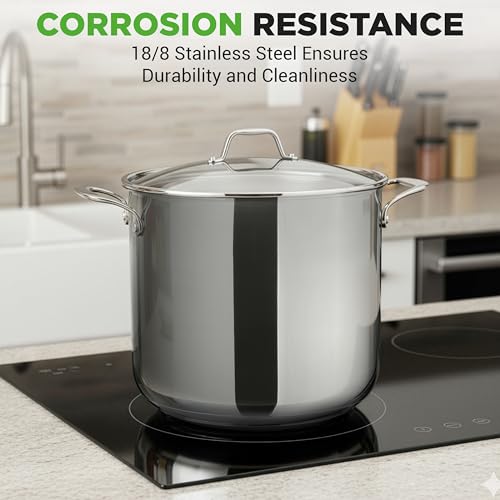 19 Qt Stock Pot with Lid (Stainless Steel / 19 Quarts)