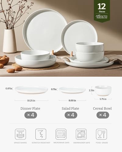 Milkyway 12 Piece Stoneware Dinnerware Set
