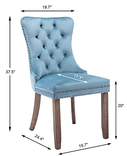 Light Blue Velvet Dining Chairs Set of 4 (Light Blue)