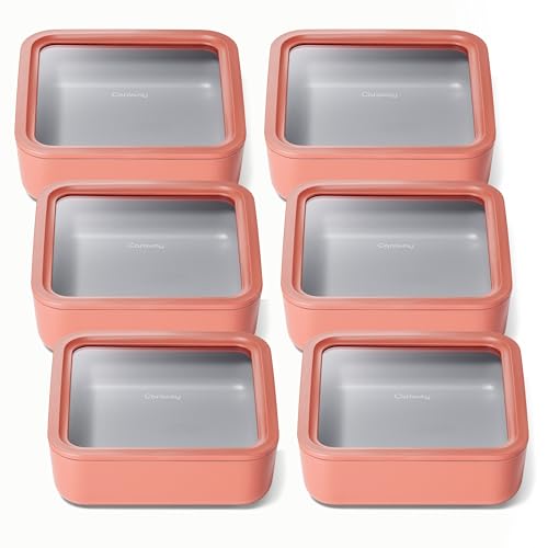 6 Piece Glass Food Storage Container Set (Perracotta / 10 Cup Food Storage (6x))