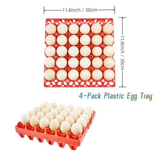 4 Pack Plastic Egg Tray Egg Crates 30 (4 Count)
