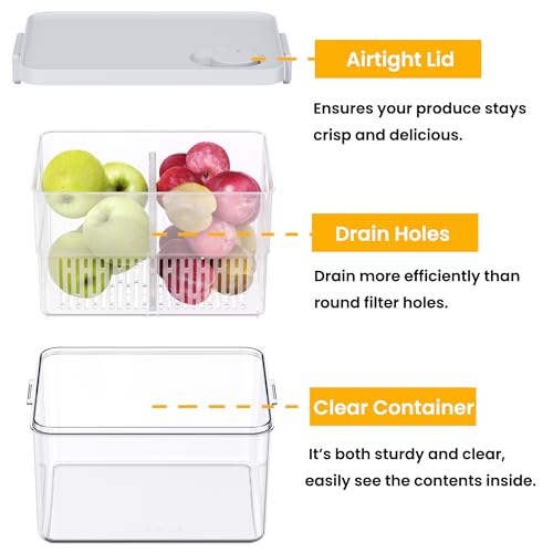 6 Pack Large Fruit Storage Containers for Fridge with Timing Knob (S+M+L-6 Pack)