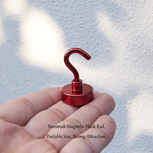 Magnetic Hooks (10 Count)