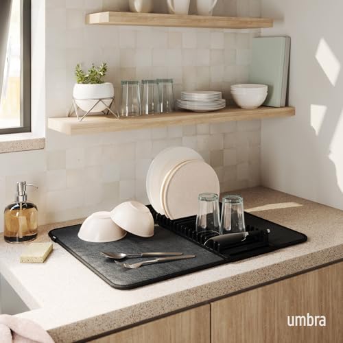 Udry Dish Drying Rack with Mat (24" x 18" / Black)