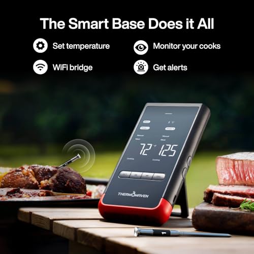 WiFi Wireless Meat Thermometer