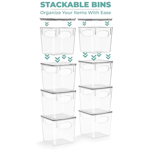 Clear Toy Storage Bins with Lids (2 Count)