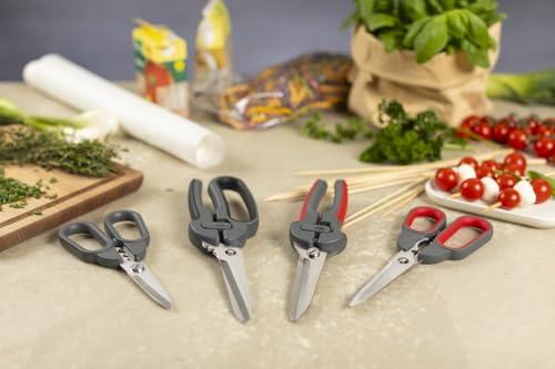 Pro Kitchen Shears Plus (Pro Kitchen Shears Plus)