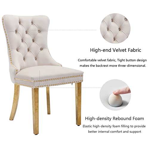 Beige and Gold Velvet Dining Chairs Set of 4 (Classic Beige)