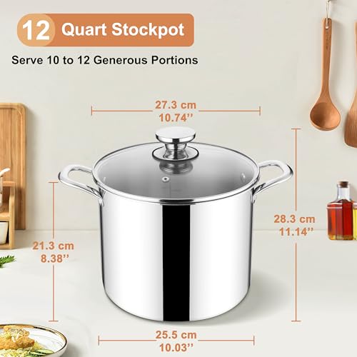 12 QT Stock Pot